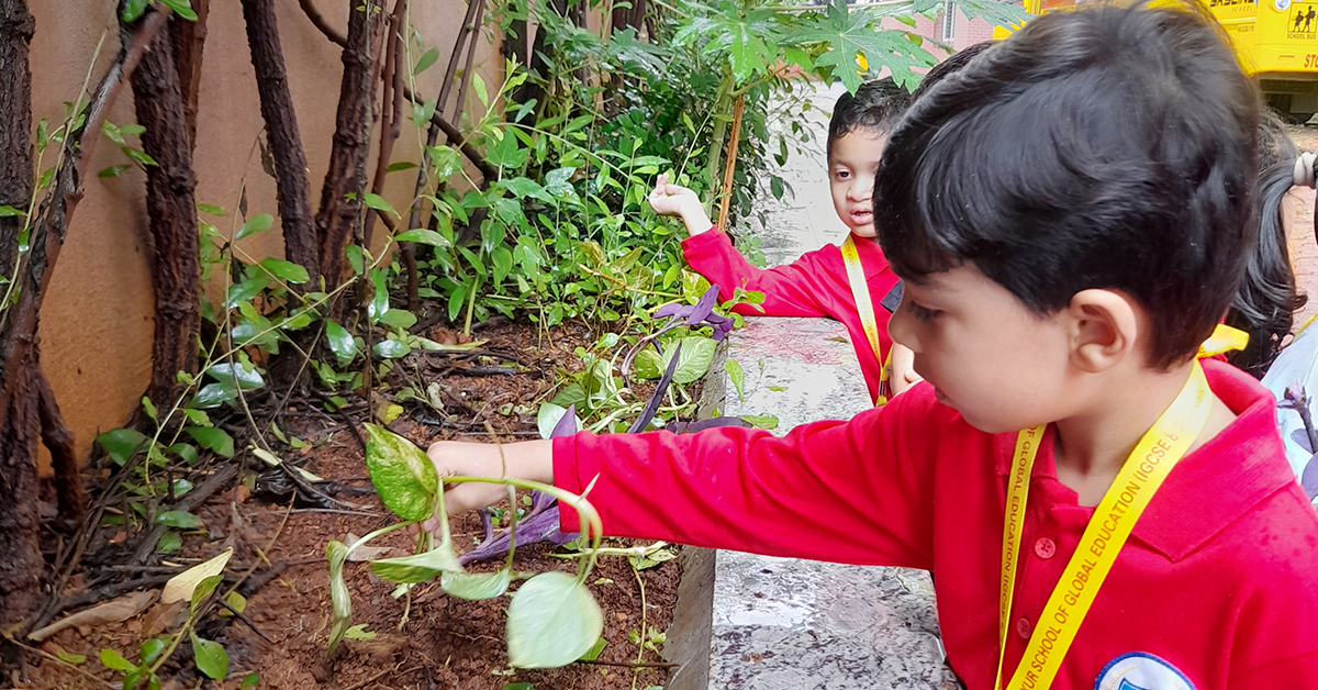 Planting Saplings